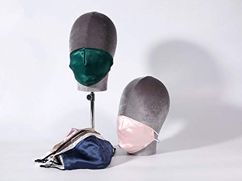 The 'Guardian' Silk Filter Mask (Filter Pocket Version)