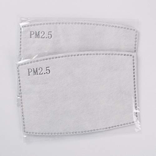 The 'Guardian' Silk Filter Mask (Filter Pocket Version)